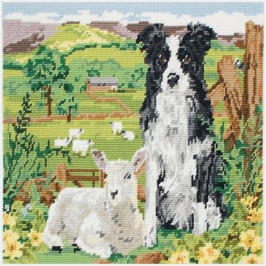 MR7004 Border Collie And Lamb - Click Image to Close